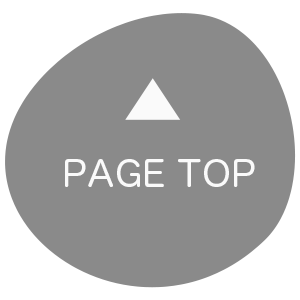 PAGE TOP